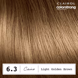 Clairol ColorStrong Permanent Zero Ammonia Hair Dye  6.3 Light Golden Brown - Cairo Hair Color  Pack of 1