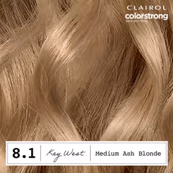 Clairol ColorStrong Permanent Zero Ammonia Hair Dye  8.1 Medium Ash Blonde - Key West Hair Color  Pack of 1