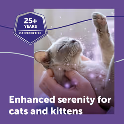Feliway Optimum 30 Day Refill X 3 Value Pack | 48ml Feliway Optimum Refill 3 Pack For Plug In Anxiety Relief Pheromone Diffuser For Cats | Calm Your C