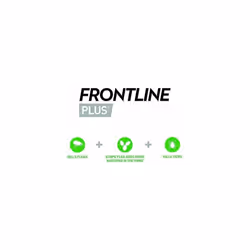 Frontline Plus For Dogs 10-20kg - 1 Pipette, Flea And Tick Treatment For Dogs, Frontline Flea Treatment For Dogs, Frontline Spot On For Dogs,