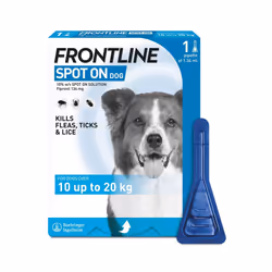FRONTLINE SPOT ON Flea & Tick Treatment Medium Dog (10-20kg) 1 Pipette Pack