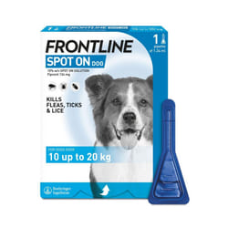 FRONTLINE SPOT ON Flea & Tick Treatment Medium Dog (10-20kg) 1 Pipette Pack