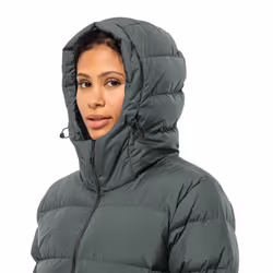 Jack Wolfskin Womens Frozen Palace Windproof Water Repellent Jacket - L, Slate Green