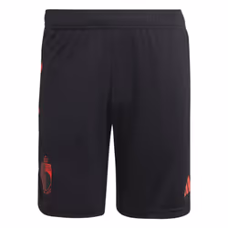 2022-2023 Belgium Training Shorts (Black) - XL