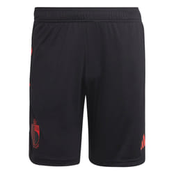 2022-2023 Belgium Training Shorts (Black) - XL