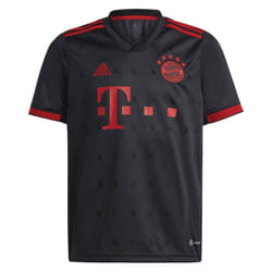 2022-2023 Bayern Munich Third Shirt (Kids) - SB