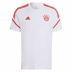 2022-2023 Bayern Munich Training Tee (White) - 3XL