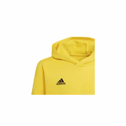 Unisex Kids Ent22 Hoody Y Sweatshirt, Team Yellow/Black, 9-10 Years UK