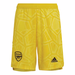 2022-2023 Arsenal Home Goalkeeper Shorts (Yellow) - M