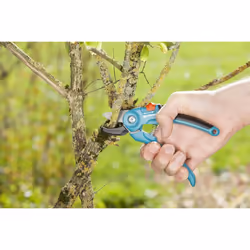 Gardena SuperCut Secateurs A/S for Cutting Dry Branches and Twigs