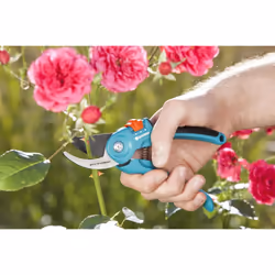 Gardena SuperCut Secateurs B/S-M for Pruning of Flowers ,Green Wood