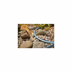GARDENA 8055 - 100 Foot Wall Mounted Retractable Reel with Hose Guide, Automatic retraction for Easy Watering, Gray