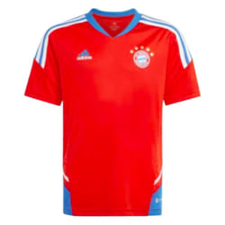 2022-2023 Bayern Munich Pro Training Jersey (Red) - S