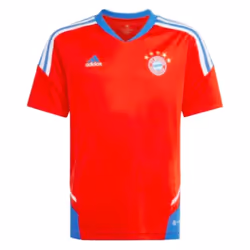 2022-2023 Bayern Munich Pro Training Jersey (Red) - M