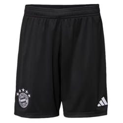 2023-2024 Bayern Munich Goalkeeper Shorts (Black) - 3XL