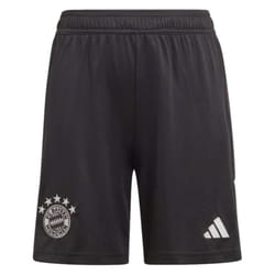 2023-2024 Bayern Munich Goalkeeper Shorts (Black) - Kids - XXL
