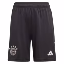 2023-2024 Bayern Munich Goalkeeper Shorts (Black) - Kids - LB