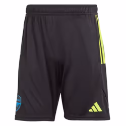 2023-2024 Arsenal Training Shorts (Black) - 3XL