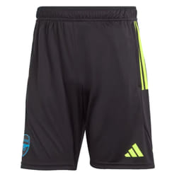 2023-2024 Arsenal Training Shorts (Black) - 3XL