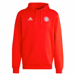 2023-2024 Bayern Munich DNA Hoody (Red) - XL