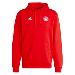 2023-2024 Bayern Munich DNA Hoody (Red) - XL