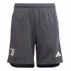2023-2024 Juventus Third Shorts (Carbon) - Kids - LB
