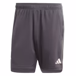 2023-2024 Juventus Third Shorts (Carbon) - XS