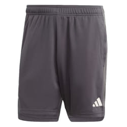 2023-2024 Juventus Third Shorts (Carbon) - XS