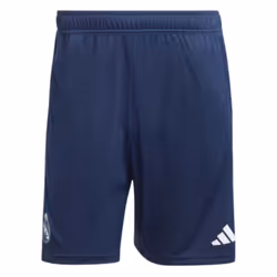 2023-2024 Real Madrid Training Shorts (Legend Ink) - 3XL