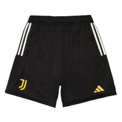 2023-2024 Juventus Training Shorts (Black) - 3XL