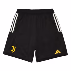 2023-2024 Juventus Training Shorts (Black) - XL