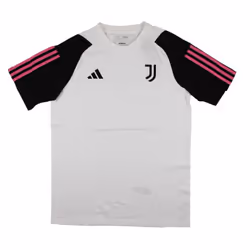 2023-2024 Juventus Cotton Tee (White) - XXL