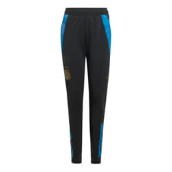 2024-2025 Argentina Training Pants (Carbon) - Kids - SB