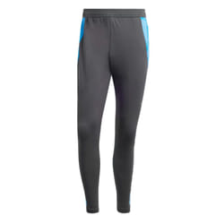 2024-2025 Argentina Training Pants (Carbon) - 3XL