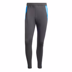 2024-2025 Argentina Training Pants (Carbon) - M