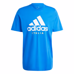 2024-2025 Italy DNA Graphic Tee (Blue) - M
