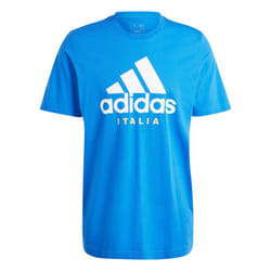 2024-2025 Italy DNA Graphic Tee (Blue) - XS