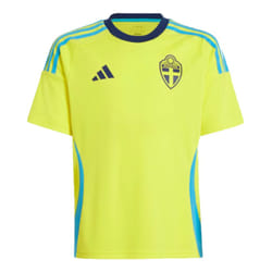 2024-2025 Sweden Home Fan Shirt (Kids) - XXL