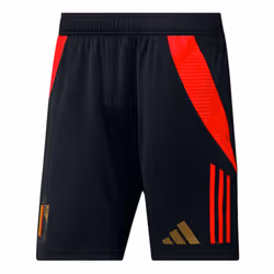 2024-2025 Belgium Training Shorts (Black) - XXL