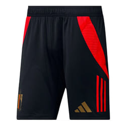 2024-2025 Belgium Training Shorts (Black) - XXL