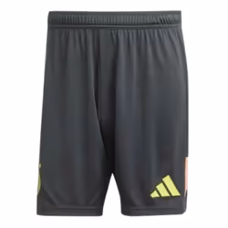2024-2025 Germany Home Goalkeeper Shorts (Black) - 3XL