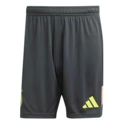 2024-2025 Germany Home Goalkeeper Shorts (Black) - 3XL
