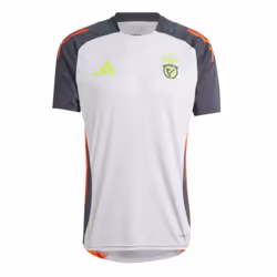 2024-2025 Benfica Training Jersey (Grey) - XL