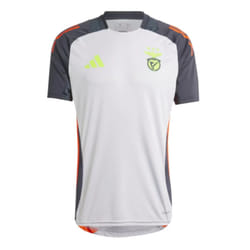 2024-2025 Benfica Training Jersey (Grey) - XL