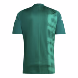 2024-2025 Italy Pre-Match Shirt (Green) - M