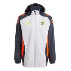 2024-2025 Benfica Allweather Jacket (Grey) - XL