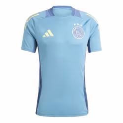 2024-2025 Ajax Training Jersey (Tactile Steel) - M