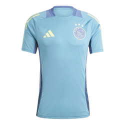 2024-2025 Ajax Training Jersey (Tactile Steel) - M