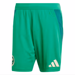 2024-2025 Saudi Arabia Home Shorts (Green) - S