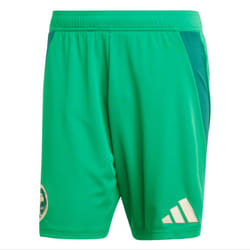 2024-2025 Saudi Arabia Home Shorts (Green) - S